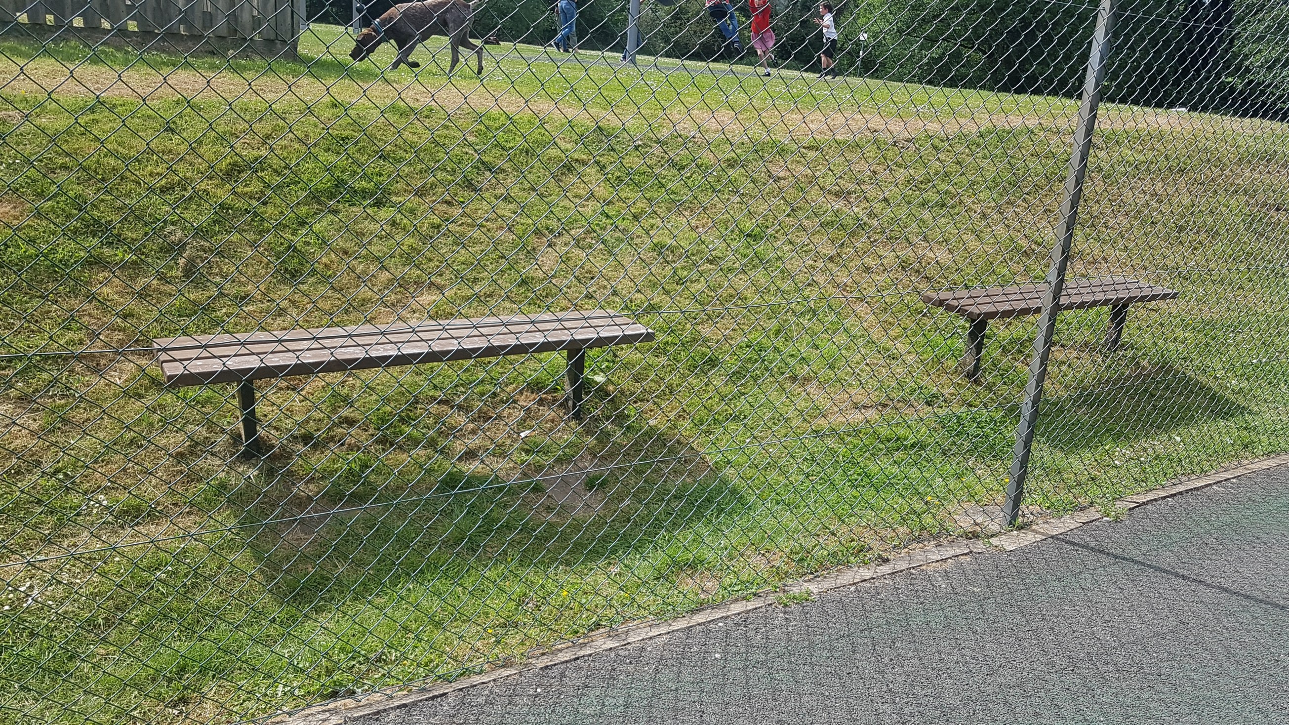 benches-by-tennis-courts