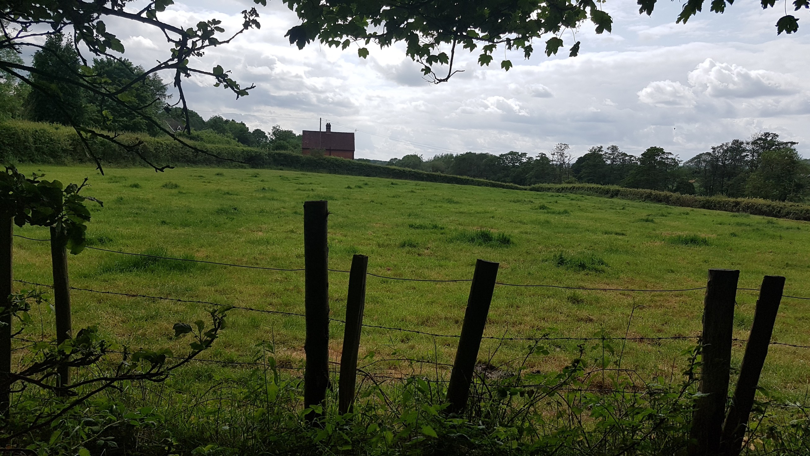 field-rented-to-park-farm