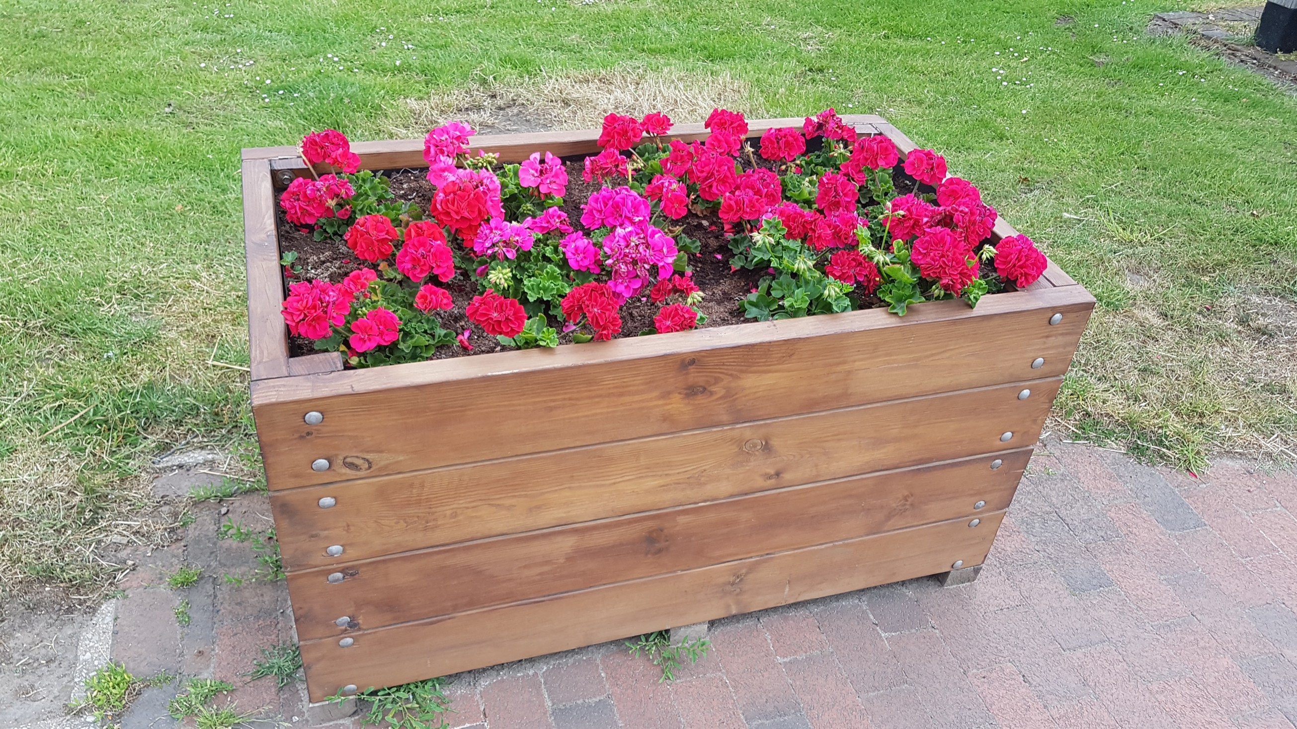 planter-on-green